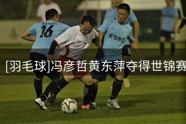 [羽毛球]冯彦哲/黄东萍夺得世锦赛混双亚军